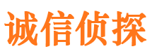 长海侦探公司